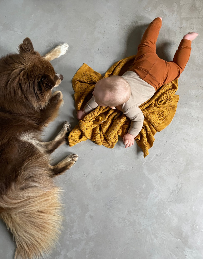 Golv i Betonggrå microcement – hund, bebis