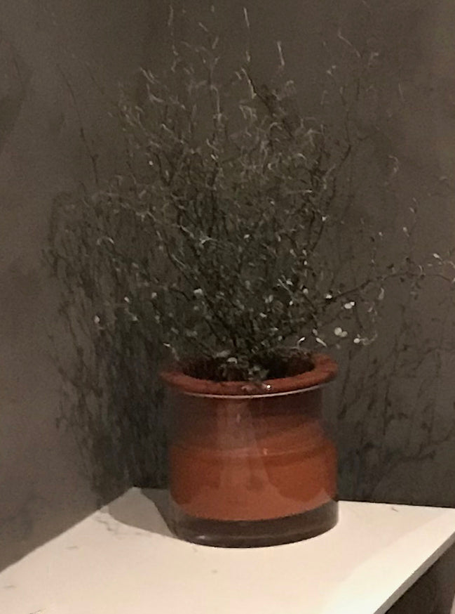 Vägg i betonggrå microcement – detalj, kruka